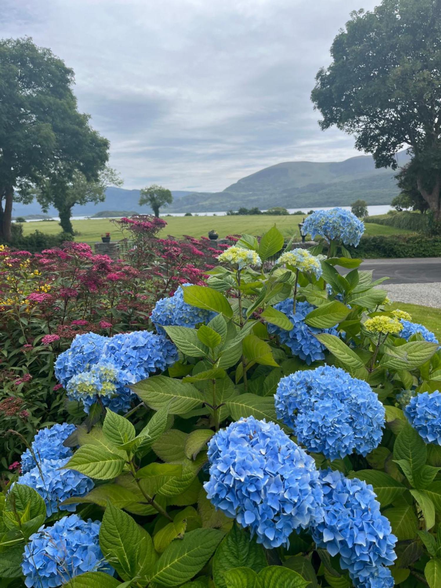 Loch Lein Country House Killarney Eksteriør bilde